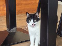 -路易时光(蕴川路店)