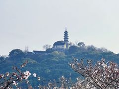 -苏州上方山国家森林公园