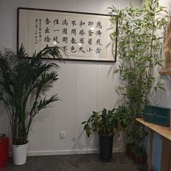 点击看大图 -宝妈港湾·妙初产后恢复(西局店)