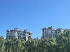 -金星公园