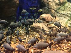 -波塞冬旅游度假区