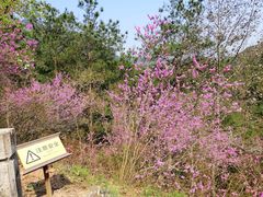 -天台山赤城山景区
