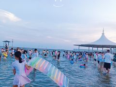 -碧海金沙