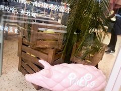 -WHEN PIGS FLY当猪飞