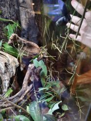 -酷嗒动物文化乐园(cutezoo西溪乐天城店)