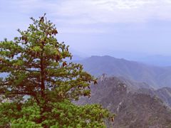 -老君山风景名胜区
