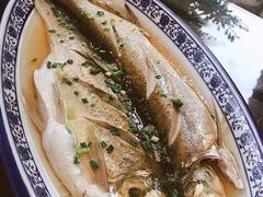 清蒸白水鱼-品渔味湖鲜馆(拈花湾店)