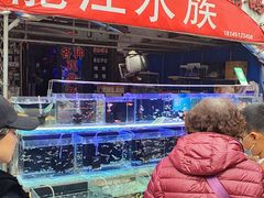 -哈尔滨道外花鸟鱼市场