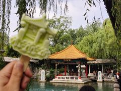 -趵突泉景区
