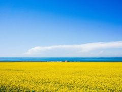 -青海湖国家重点风景名胜区