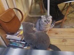 -拾壹cafe·工作室