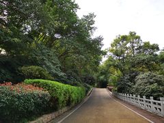 -北极阁公园