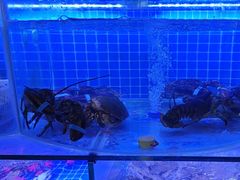 -鼓歌海鲜舫·手抓海鲜(大学城店)
