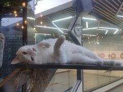 -弓舍射箭俱乐部(高新总店)