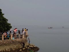 -大湾区中央湿地公园-十九涌