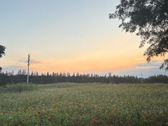 -嘉北郊野公园