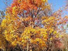 -长春市南湖公园