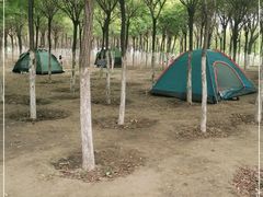 -西青郊野公园