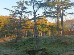 -广富林郊野公园
