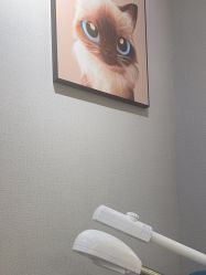 -洗脸猫·洗脸吧