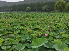 -云龙湖旅游景区