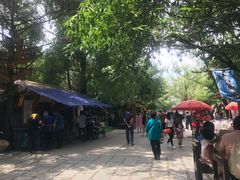 -大鹅岛绿色生态美食园