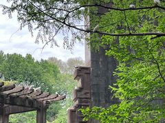 -音乐台