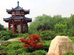 -洛阳市隋唐城遗址植物园