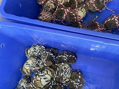 -七的湖·江南蟹舫·阳澄湖农家菜(蟹舫苑店)
