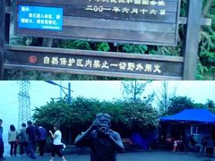 -梦幻奥陶纪景区