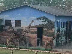 -西安秦岭野生动物园