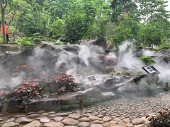 -东莞植物园