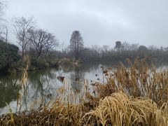 -新荣记(西溪湿地店)