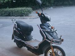 -马陆小张葡萄园农家乐