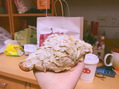 杏仁羊角-WHEN PIGS FLY当猪飞