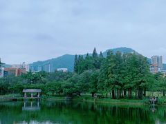 -四海公园(南山区)