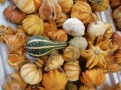 -喜茶(广州荔湾领展广场店)