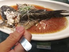 -渔堂公园餐厅·本帮菜(乐园路店)