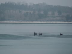 景点-南海子公园