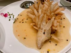 精灵松鼠桂鱼-海味观(老西门店)