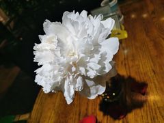 -HOME餐厅粤菜 融合菜