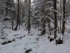 -雪谷