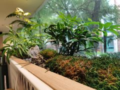 -虹泥小厨(南国花园总店)