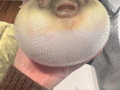 -永安鱼庄·镇江菜(东吴路店)