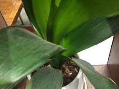 -力力渔港(香樟路店)