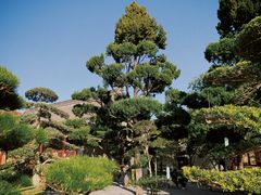 -大慈恩寺(大雁塔)