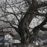 摄影分享｜历史古镇复古情绪iphone手机调色