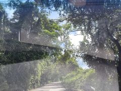 -呀诺达热带雨林