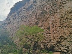 -少华山国家森林公园