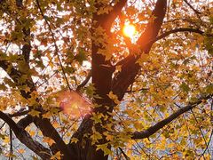 -大兴滨河森林公园